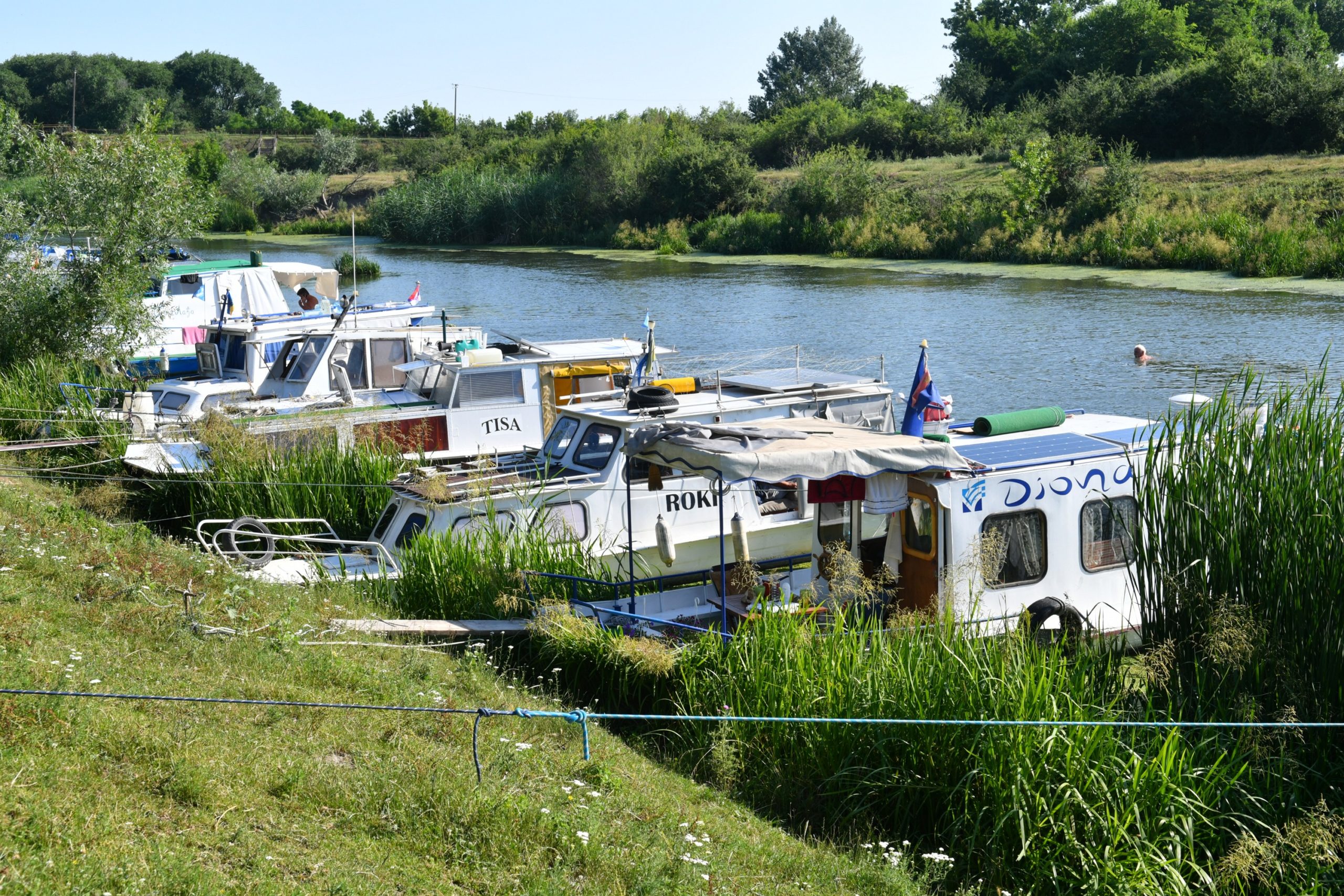 Otkazuje Se Regata 2020 JVP Vode Vojvodine Novi Sad