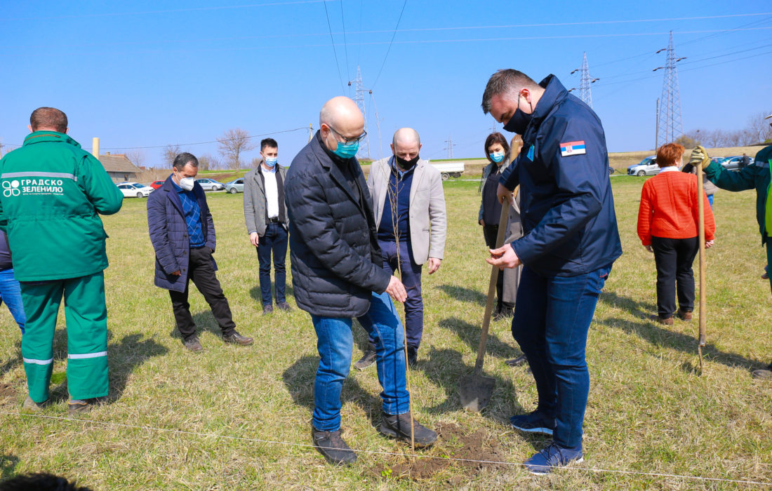 JVP „Vode Vojvodine“ doniralo 3.000 sadnica bresta Novom Sadu