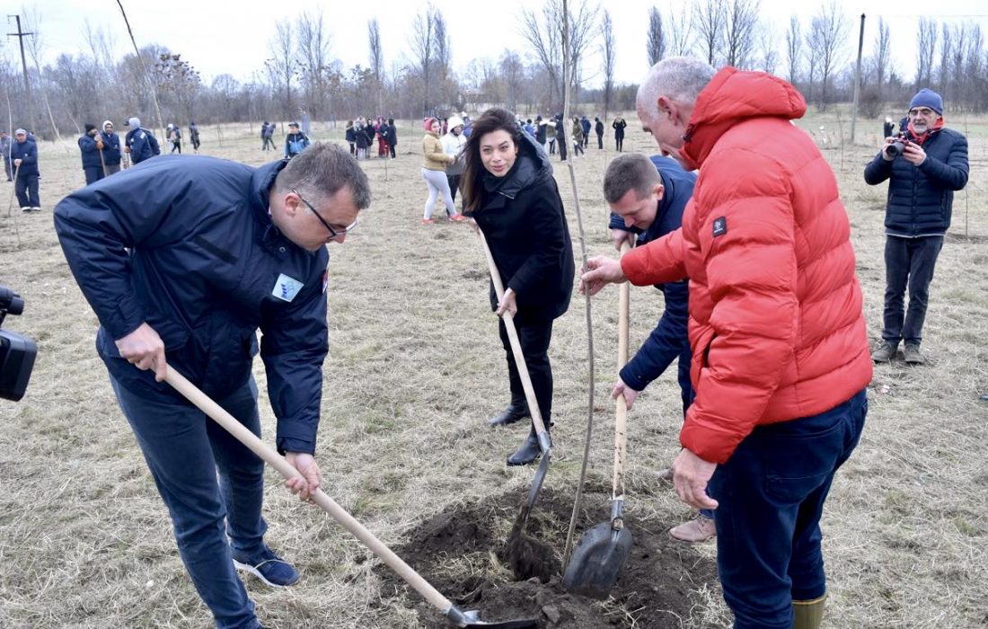 JVP „Vode Vojvodine“ doniralo 1000 sadnica bagrema Opštini Srbobran
