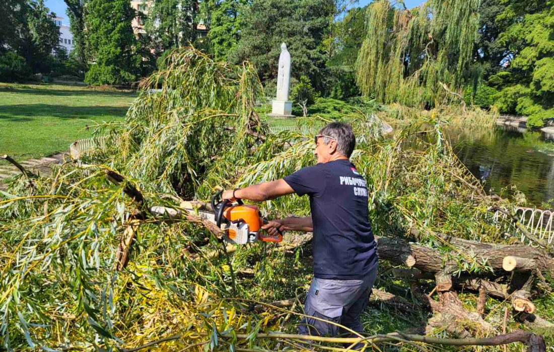 JVP „Vode Vojvodine“ pomaže u otklanjanju velike štete od nevremena u Novom Sadu