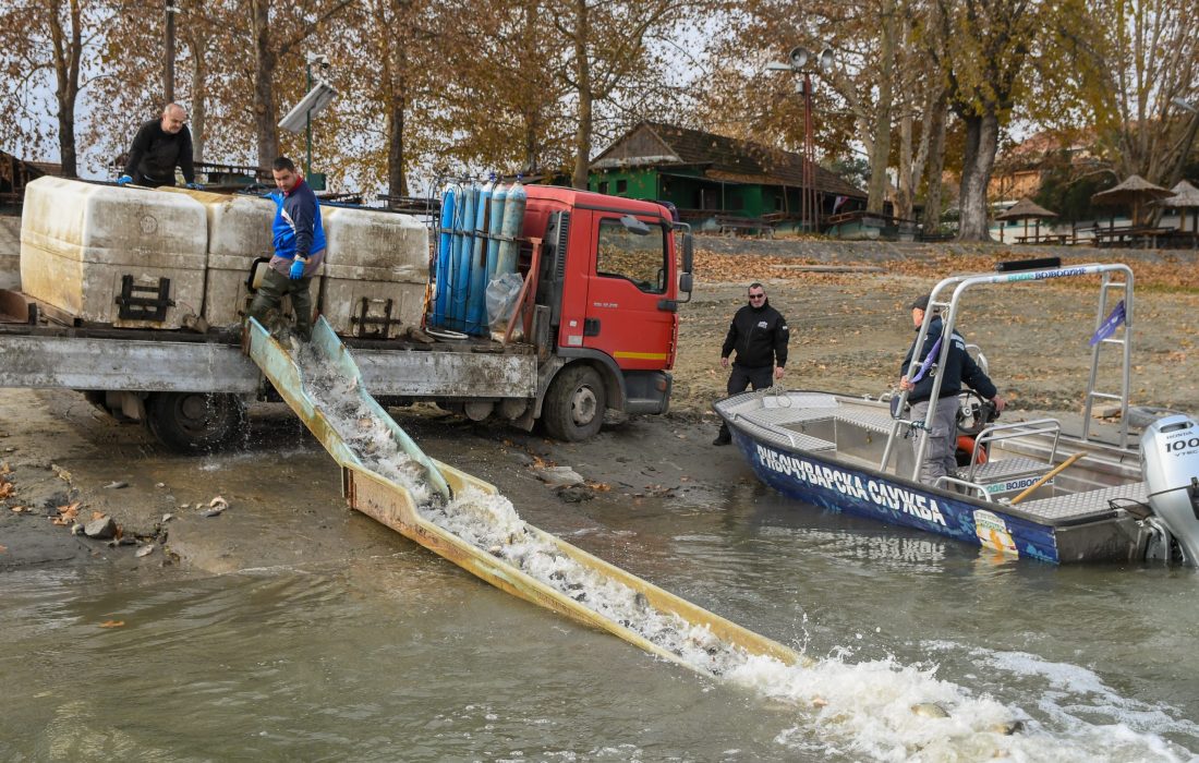 Ribolovne vode poribljene sa preko 17 tona riblje mlađi